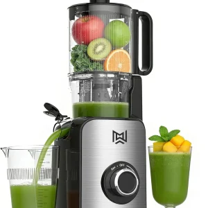 Cold Press Masticating Juicer, Stainless Steel